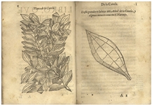 1578 First Edition of ''Tractado de las drogas, y medicinas de las Indias Orientales'' -- The Important Reference of Therapeutic Botany From the Age of Exploration, Complete With All 48 Woodcuts
